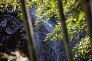 《万智牌：竞技场》登陆Steam锁国区 腾讯将代理国服