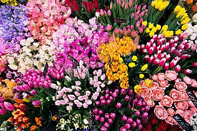 可爱冒险游戏《小鳄鱼大冒险》推出试玩Demo 2022年发售