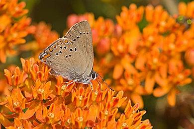 《剑星》官方媒体账号遭挟持 金亨泰呼吁恢复前别信账号任何内容